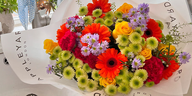 10 Flowers That Symbolise Friendship – Four Seasons Flower shop