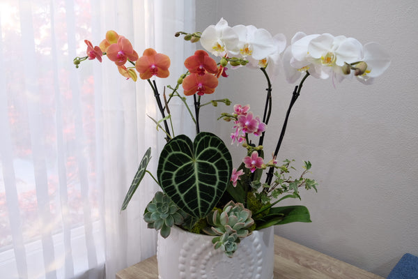 Botanical Beauty