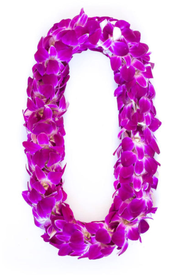 Double Orchid Graduation Lei